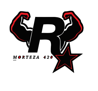 Morteza00